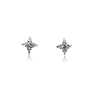 Boucles d'oreilles Donna Oro Femme in Or blanc Diamante DKOL3837.034